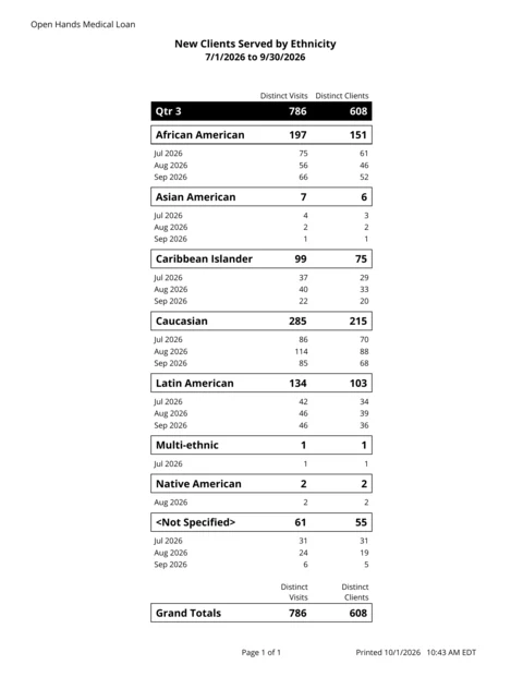 Client Demographics report: new clients served by ethnicity for one quarter, with distinct visits and distinct clients for each month (demo data)